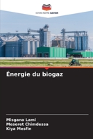 ?nergie du biogaz 6205369052 Book Cover