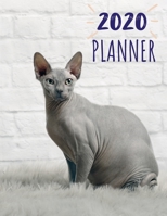 Planner 2020: 365 Days Daily Weekly & Monthly Personal Appointment at a Glance Calendar Planner Spread Views 12 Months to Do List Jan 1, 2020 to Dec 31, 2020 Design Sphynx Cats Lover Cover 1676670513 Book Cover