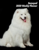 Samoyed 2020 Weekly Planner: 12 Months 107 pages 8.5 x 11 in. Calendar Diary Organizer Vaccinations Vet Appointments Half Spread Blank Pages 1697180639 Book Cover