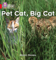 Pet Cat, Big Cat 0007235879 Book Cover