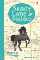 Horse in Danger (Sandy Lane Stables) 0794539157 Book Cover