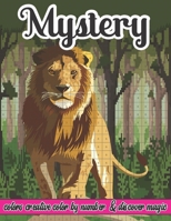 Mystery Colors Creative Color By Number & Discover Magic: Activity Puzzle Coloring Books for Adult Comfort and Stress Relief B09TDSMXYC Book Cover