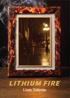 Lithium Fire 177231224X Book Cover