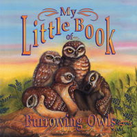 My Little Book of Burrowing Owls (My Little Book Of...) 0893170542 Book Cover