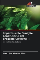 Impatto sulle famiglie beneficiarie del progetto Cisterne II: Una realtà da Ibipeba/Bahia (Italian Edition) 6208663466 Book Cover
