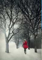 STONES IN MY JAR 0244937850 Book Cover