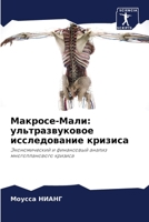 Макросе-Мали: ультразвуковое исследование кризиса: Экономический и финансовый анализ многопланового кризиса 6206332586 Book Cover
