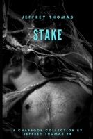 Stake: Three Stories From Punktown B0C2SMVPZ2 Book Cover