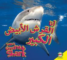 Great White Shark: Arabic-English Bilingual Edition (I Am) 1619138840 Book Cover