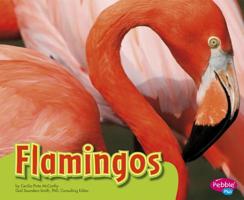 Flamingos 1429660481 Book Cover
