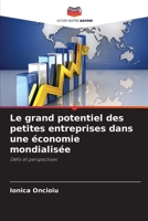 Le grand potentiel des petites entreprises dans une économie mondialisée (French Edition) 6208539323 Book Cover