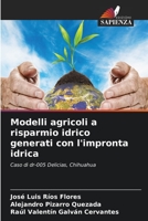 Modelli agricoli a risparmio idrico generati con l'impronta idrica 6204117343 Book Cover