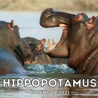 Hippopotamus Calendar 2021: 16-Month Calendar, Cute Gift Idea For Hippo Lovers Women & Men B095GRWQ32 Book Cover