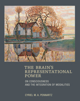 The Brain's Representational Power: On Consciousness and the Integration of Modalities 0262029316 Book Cover