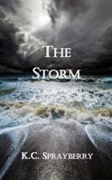 The Storm 1625268076 Book Cover