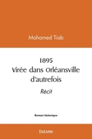 1895 Virée dans Orléansville d'autrefois (French Edition) 241456881X Book Cover