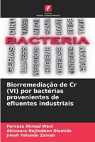 Biorremediação de Cr (VI) por bactérias provenientes de efluentes industriais (Portuguese Edition) 6206819639 Book Cover