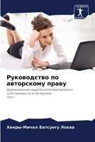 Руководство по авторскому праву: Криминальная защита интеллектуальной собственности в ИнтернетеТом I 6206098885 Book Cover