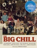 The Big Chill Book Cover