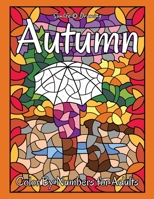 Autumn Color by Numbers for Adults: Stained Glass Color by Number Coloring Book B0BBPYBV7S Book Cover