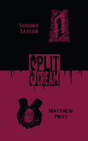 Split Scream Volume Eight: Cursed Places 1959790617 Book Cover