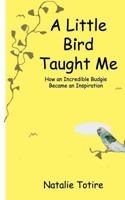 A Little Bird Taught Me: How an Incredible Budgie Became an Inspiration 1507726236 Book Cover