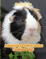 Interesting Information Guinea Pigs: Animal fact for girl age 1-10 Animal fact for boy age 1-10 where do guinea pigs live facts on guinea pigs B08L2G7RWM Book Cover