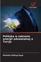 Polityka w zakresie energii odnawialnej a Turcja (Polish Edition) 620951801X Book Cover