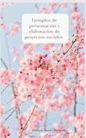 Ejemplos de presentación y elaboración de proyectos sociales (Educación) B0CG7THDX1 Book Cover