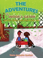 The Adventure of Snook & Gator: Snook's Cool Idea for a Hot Day 1963917693 Book Cover