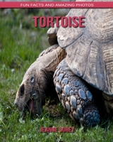 Tortoise: Fun Facts and Amazing Photos B088B4MV9T Book Cover