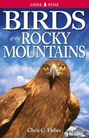Birds of the Rocky Mountains 1551050919 Book Cover