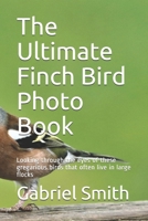The Ultimate Finch Bird Photo Book: Looking through the eyes of these gregarious birds that often live in large flocks B084T37QTN Book Cover