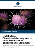 Molekulare Charakterisierung von in Kuba isolierten N. gonorrhoeae-Stämmen 6206991245 Book Cover