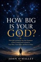 How Big is Your God?: How Job Learned to See the Greatness of the Creator and Learned to Fear Him, Trust Him, and Rest in Him 1968273077 Book Cover