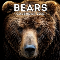 Bears Calendar 2021: 16-Month Calendar, Cute Gift Idea For Bear Lovers Women & Men B093RKFPFX Book Cover