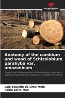Anatomy of the cambium and wood of Schizolobium parahyba var. amazonicum: Anatomical characterization of the cambium and wood of paricá trees planted in clearings in Eastern Amazonia 6208718023 Book Cover