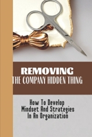 Removing The Company Hidden Thing: How To Develop Mindset And Strategies In An Organization: Organizational Hidden Activities B09BY3NS3K Book Cover