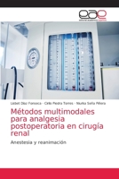 Métodos multimodales para analgesia postoperatoria en cirugía renal 6203035696 Book Cover