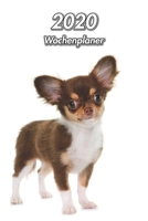 2020 Wochenplaner: Chihuahua Welpe - 107 Seiten, 15cm x 23cm ca. A5 - Taschenkalender - Terminplaner - Tagebuch - Terminkalender - Organizer f�r Hundeliebhaber 1672192196 Book Cover