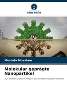 Molekular gepr�gte Nanopartikel 6204143735 Book Cover