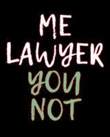 Me Lawyer You Not: 2019 Lawyer Organizer 1723820318 Book Cover