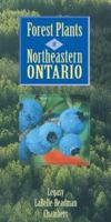 Forest Plants of Northeastern Ontario 1551050641 Book Cover