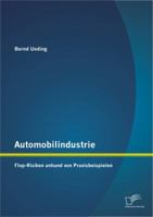 Automobilindustrie: Flop-Risiken anhand von Praxisbeispielen 384289368X Book Cover