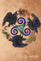 Raven Fey Journal 1482717700 Book Cover