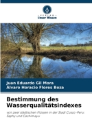 Bestimmung des Wasserqualitätsindexes 6205830817 Book Cover