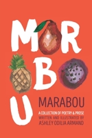 Marabou : A Collection of Poetry and Prose Written & Illustrated by Ashley Odilia Armand 0578754487 Book Cover