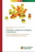 Hidrogéis a Base de Colágeno e Quitosana 6139724678 Book Cover