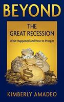 Beyond the Great Recession: What Happened and How to Prosper 0984532706 Book Cover