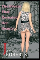The Breeze That Revealed Her Beauty: The Breeze Brought Her To Me 1736123491 Book Cover